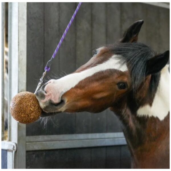 Likit Stall Balls GranoLo -1.6kg- Apple - Bilde 2