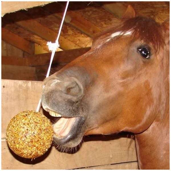 UNCLE JIMMY`S HANGING BALL - Bilde 3