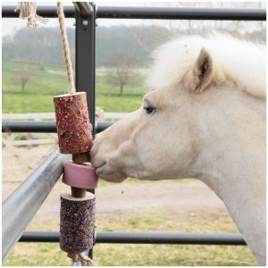 Grooming Deluxe Wooden Relax Horse Toy with Salt lick Sammy