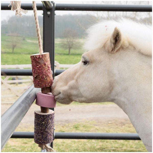 Grooming Deluxe Wooden Relax Horse Toy with Salt lick Sammy - Bilde 2