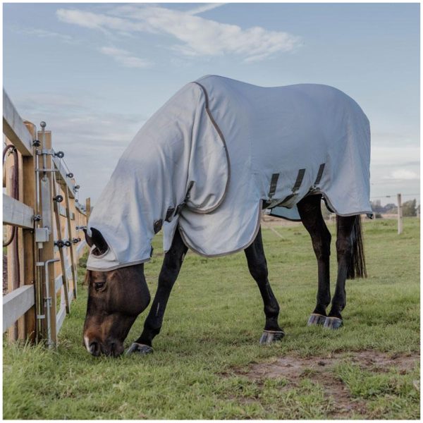 Kentucky Eczema Rug w/Hood - Bilde 5