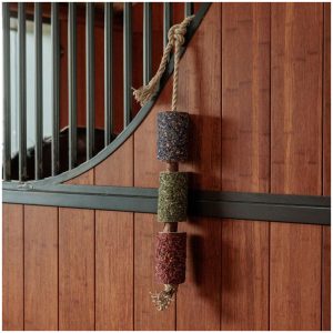 Grooming Deluxe Wooden Relax Horse Toy Freedom