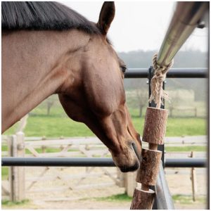 Grooming Deluxe Wooden Relax Horse Toy Made By Nature