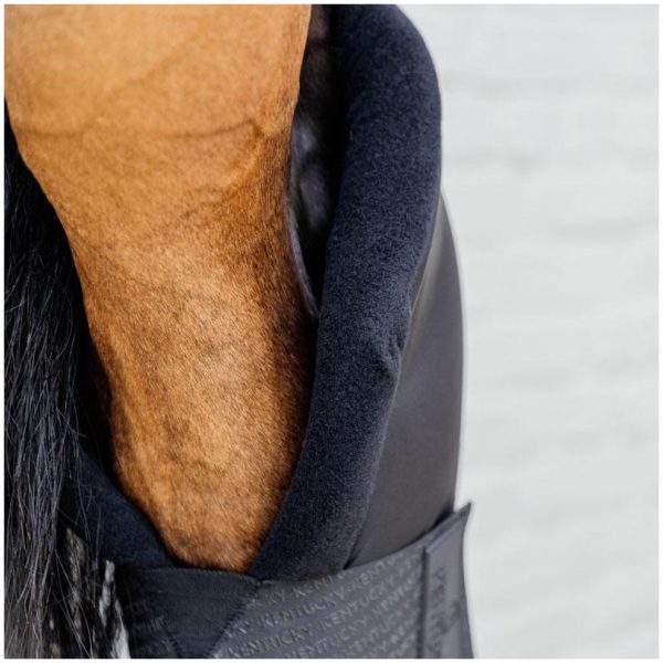 Kentucky Stable boots PROtect Long Hind - Bilde 3
