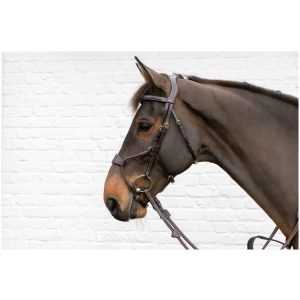Dyon Elastic Hybrid Noseband Bridle D Collection