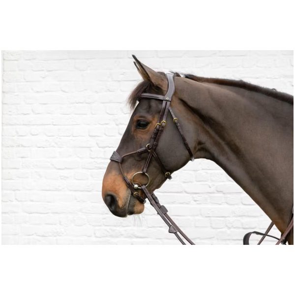 Dyon Elastic Hybrid Noseband Bridle D Collection
