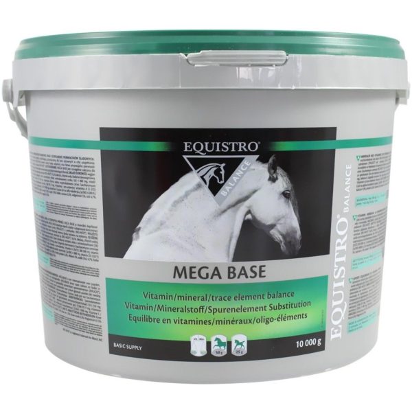 EQUISTRO MEGA BASE 10000 GR.