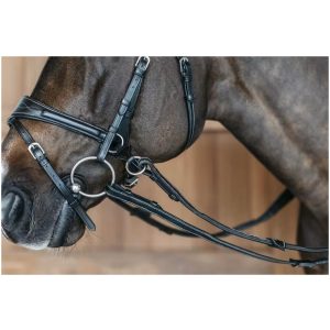 Working Motion Bridle