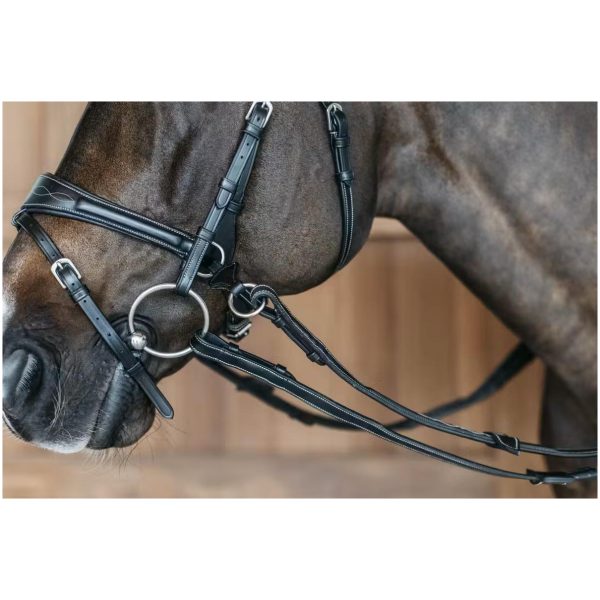 Working Motion Bridle - Bilde 2