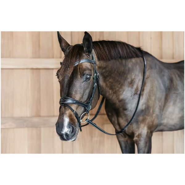 Working Motion Bridle - Bilde 3
