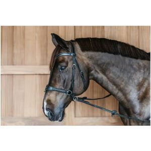 Working Motion Bridle