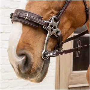 Dyon rubber reins 16 mm leather loop with snap