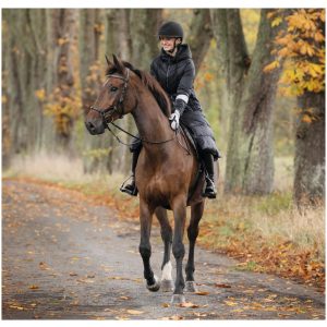 Kl Maurice Riding Mittens