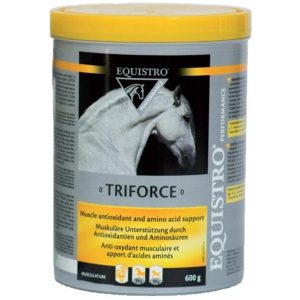 EQUISTRO TRIFORCE 1800 GR.